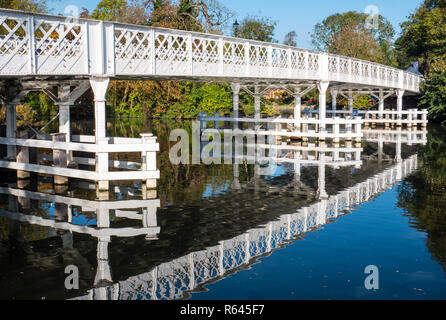 La mattina presto il fiume Tamigi, Whitchurch Bridge, vicino a Pangbourne-on-Thames, Reading, Berkshire Oxfordshire, boarder, England, Regno Unito, GB Foto Stock