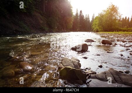 Il fiume di montagna Prut nelle montagne dei Carpazi, Ucraina Foto Stock