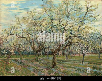 Il frutteto bianco. Data: aprile 1888, Arles. Dimensioni: 60 cm x 81 cm, 73,5 cm x 94,7 cm. Museo: Van Gogh Museum di Amsterdam. Autore: Van Gogh, Vincent. VINCENT VAN GOGH. Foto Stock