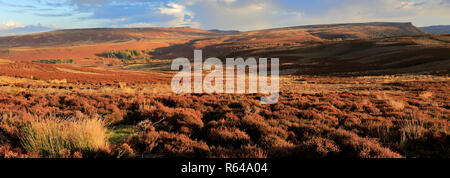 Tramonto sulla Derwent Mori, Superiore Derwent Valley, Parco Nazionale di Peak District, Derbyshire, England, Regno Unito Foto Stock
