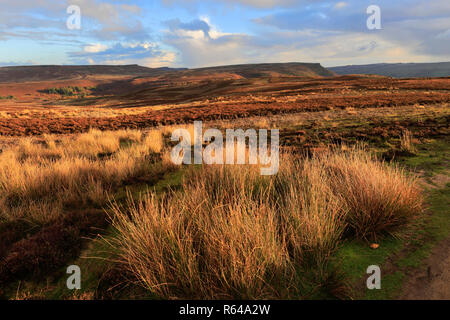 Tramonto sulla Derwent Mori, Superiore Derwent Valley, Parco Nazionale di Peak District, Derbyshire, England, Regno Unito Foto Stock