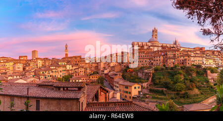 Duomo di Siena al meraviglioso tramonto, Toscana, Italia Foto Stock