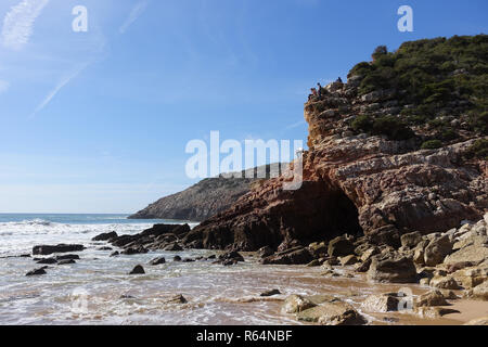 Praia do Zavial spiaggia di Algarve Portogallo Foto Stock