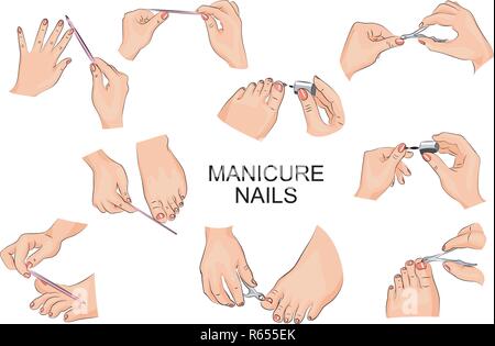 Illustrazione delle diverse posizioni delle mani e dei piedi durante il manicure Illustrazione Vettoriale