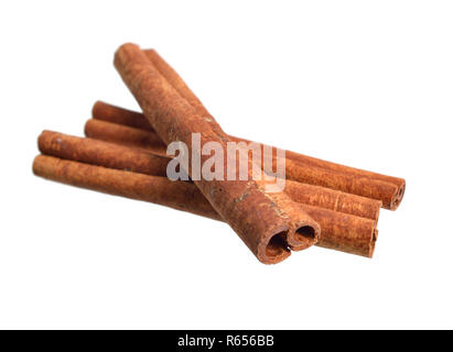 Corteccia essiccata di Cinnamomum cassia, chiamato cassia cinese cinese o di cannella. Isolato su sfondo bianco. Foto Stock
