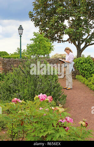 Schizzi in il giardino botanico Foto Stock