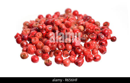 Sementi di Schinus terebinthifolia o peppertree brasiliano, aroeira o pepe rosa, di latifoglie Pepper Tree, wilelaiki o wililaiki, Christmasberry e F Foto Stock