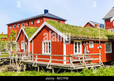 Sod case dal tetto nella città di Reine, nelle Isole Lofoten in Norvegia. Foto Stock