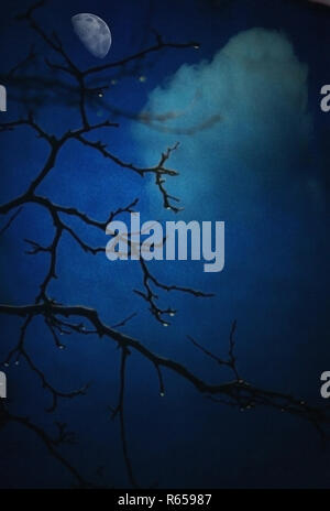 Ramo di albero con gocce d'acqua. Luna. Foto Stock