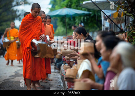 Tak Bat rituale - I monaci buddisti ricevere riso e cibo da pupulation in mattina presto a Luang Prabang, Laos, Asia Foto Stock