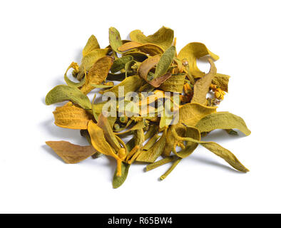Erbe officinali essiccate materie prime isolato su bianco. Viscum album, comunemente noto come unione di vischio Foto Stock