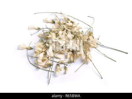 Erbe officinali essiccate materie prime isolato su bianco. Fiori Robinia pseudoacacia, comunemente noto come robinia Foto Stock