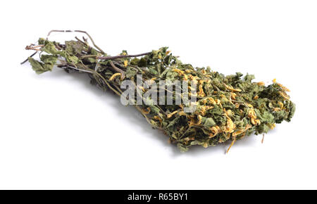 Erbe officinali essiccate materie prime isolato su bianco. Lamium galeobdolon, comunemente noto come giallo arcangelo, artiglieria impianto o stabilimento di alluminio Foto Stock