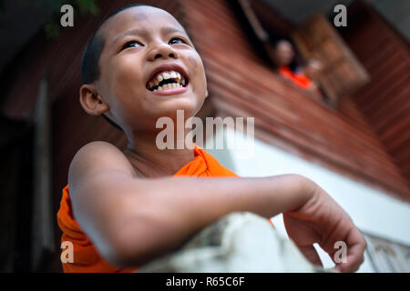 Giovane Monaco in Wat Luang Pakse è un antico tempio buddista a Pakse in sud Laos Foto Stock