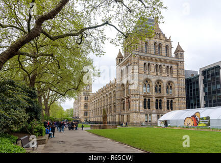 London, Regno Unito - 29 Aprile 2018: turisti di visitare il Museo di Storia Naturale che presenta una vasta gamma di esemplari di diversi segmenti di naturale histor Foto Stock