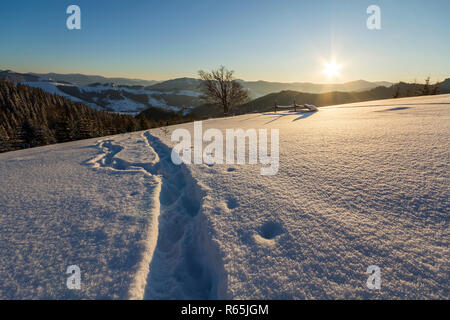 Inverno bellissimo paesaggio di Natale. Footprint umana tracciato in bianco cristallo di neve profonda in un campo vuoto, abete rosso della foresta di alberi, colline e montagne o Foto Stock