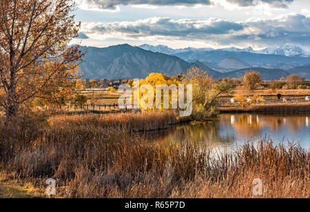 Il Flatirons e Front Range delle Montagne Rocciose si riflette in Stearns Lago in autunno in Broomfield, Colorado Foto Stock