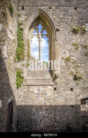 Tintern Abbey nella Contea di Wexford in Irlanda un famoso visitatore e di attrazione turistica con ottime informazioni e visite del sito e degli edifici Foto Stock