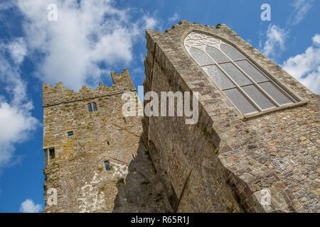 Tintern Abbey nella Contea di Wexford in Irlanda un famoso visitatore e di attrazione turistica con ottime informazioni e visite del sito e degli edifici Foto Stock