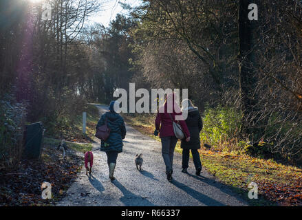 Tre donne a piedi i cani in Almondell e Calderwood Country Park, West Lothian. Foto Stock