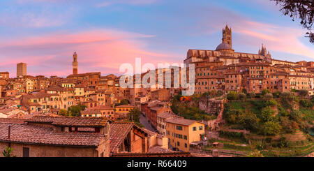 Duomo di Siena al meraviglioso tramonto, Toscana, Italia Foto Stock