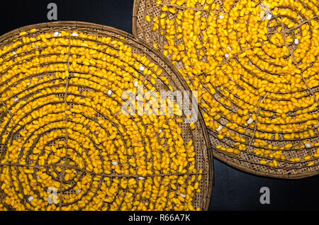 Giallo silkworm cocoon nel cestello di bambù Foto Stock