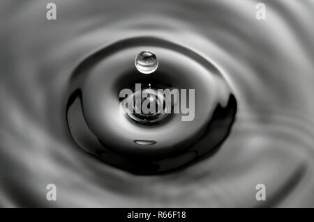 Goccia di cadere in acqua in bianco e nero Foto Stock