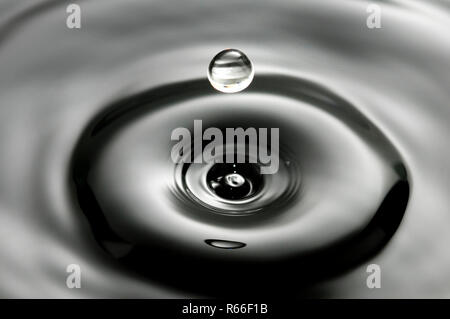 Goccia di cadere in acqua in bianco e nero Foto Stock