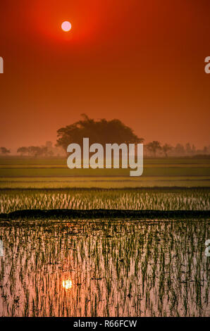 Tramonto sulla Terai Foto Stock