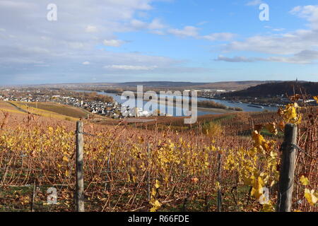 Vista da un sentiero vicino alla Germania un monumento a Rudesheim Bingen Germania Foto Stock