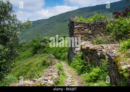 Rovine sovradimensionate e lussureggiante paesaggio lungo il fern-rigato sentiero escursionistico per il villaggio di scisti di Talasnal nella Serra da Lousa montagne del Portogallo Foto Stock