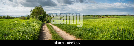 Il paesaggio nei pressi di Pitigliano, Toscana, Italia, Europa. Foto Stock