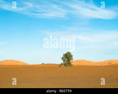 Erg Chubby - deserto marocchino Foto Stock