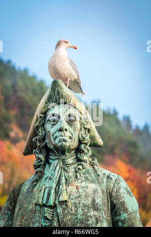 Seagull seduti sulla statua del barone Ludvig Holberg Foto Stock