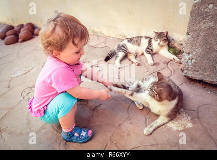 Bambina giochiamo con i gatti Foto Stock