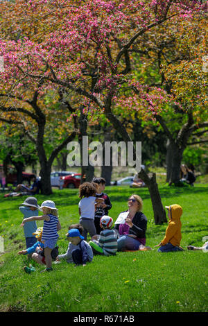 Un gruppo di bambini di Day Care per godere di una giornata di primavera presso Congress Park, Saratoga Springs, NY, STATI UNITI D'AMERICA. Foto Stock