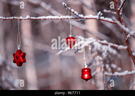 Natale stella rossa e cuore su ramoscelli e frost-coperto ciuffi nella foresta Foto Stock