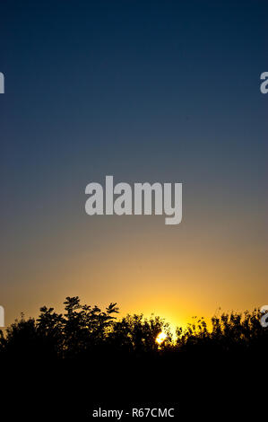 Tramonto su una foresta da qualche parte in Serbia Foto Stock