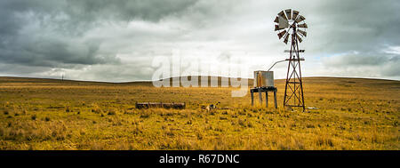 Texas ruota nell'outback a tumut Nuovo Galles del Sud Australia Foto Stock