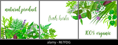 Ghirlanda fatta di realistica erbe e fiori con il testo. Erbe e spezie logo shop Foto Stock