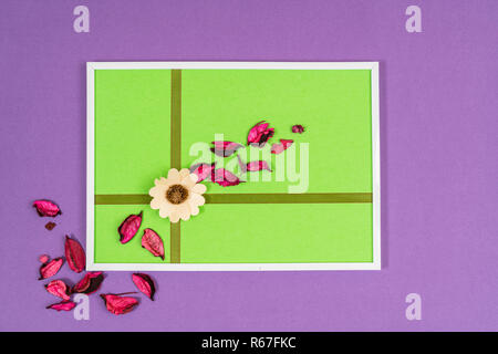 Composizione con fiori secchi su uno sfondo colorato Foto Stock