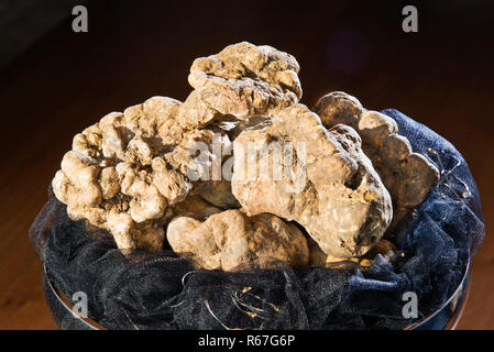 Meraviglioso il tartufo bianco su una tazza con piedistallo Foto Stock