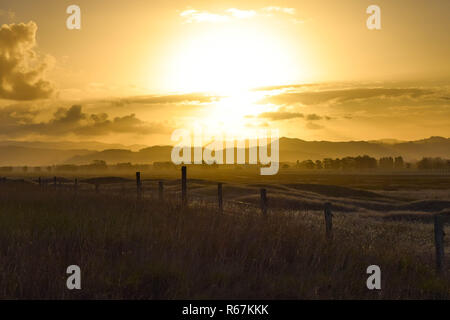 Un brillante tramonto cade sulla terra agricola sotto a Gisborne, Nuova Zelanda. Foto Stock