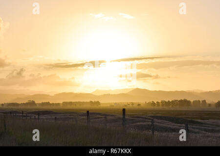 Un brillante tramonto cade sulla terra agricola sotto a Gisborne, Nuova Zelanda. Foto Stock