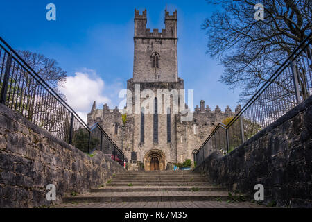 Old St Mary Cattedrale in Limerick Foto Stock