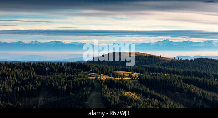 Vista dal Monte Feldberg alle Alpi Svizzere Foto Stock
