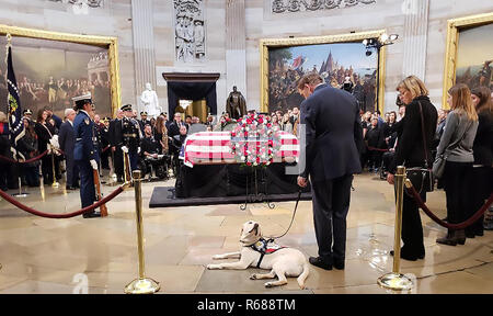 Washington, Stati Uniti d'America. 04 Dic, 2018. Washington DC, 4 dicembre 2018, USA: Sully, Presidente George H.W. Boccola di servizio del cane fa un aspetto presso il Campidoglio US rotonda dove il suo master prevede il corpo in stato di Washington DC. Credito: Patsy Lynch/Alamy Live News Foto Stock