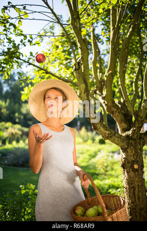 Piuttosto, giovane donna giardinaggio nel suo giardino - raccolta mele biologiche - guardando molto felice con i risultati Foto Stock