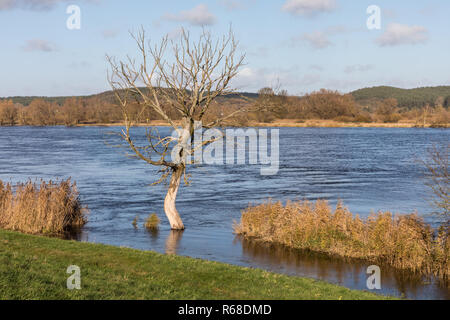 Paesaggio fluviale di oderbruch Foto Stock