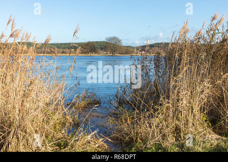 Paesaggio fluviale di oderbruch Foto Stock